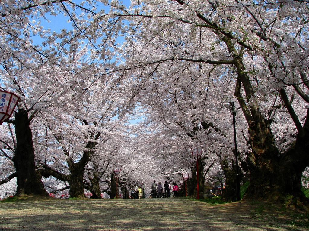 Agri In Holiday Hirosaki Buitenkant foto